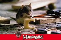 Mäusejagd [DVD], 3