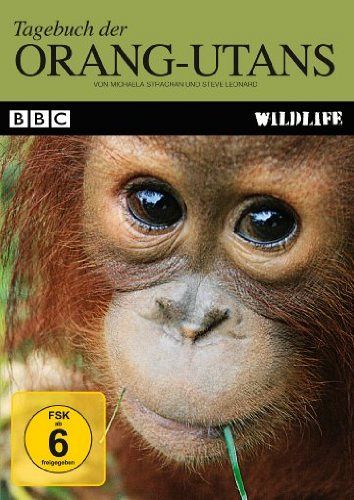 Tagebuch der Orang-Utans [DVD]