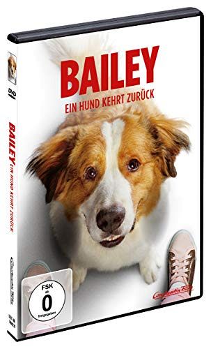 Film Bailey - Ein Hund kehrt zurück [DVD] von Gail Mancuso gebraucht kaufen  bei Melando Schweiz