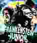 Frankenstein Junior [Blu-ray]